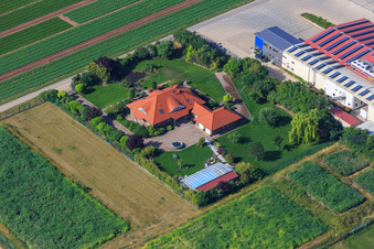 Vue oblique de Culture de légumes - Dieter Stubenbordt à Zeiskam dans le département Rhénanie-Palatinat, Allemagne