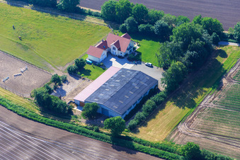 Vue aérienne de Aussiedlerhof avec enclos à chevaux à Zeiskam dans le département Rhénanie-Palatinat, Allemagne