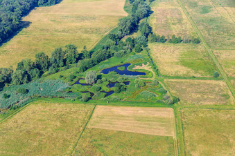 Vue aérienne de Biotope dans les Queichwiesen à le quartier Niederhochstadt in Hochstadt dans le département Rhénanie-Palatinat, Allemagne