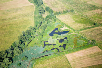 Vue aérienne de Étang et boue - surface de l'eau dans un paysage d'étang à Knittelsheim dans le département Rhénanie-Palatinat, Allemagne