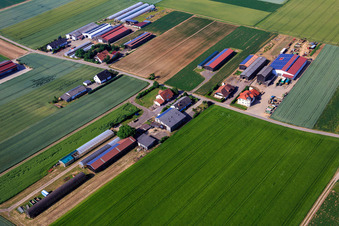 Vue aérienne de Aussiedlerhöfe am Wingertsberg par Kerner Andreas et Detzel GbR - Entrepôt à Herxheim bei Landau dans le département Rhénanie-Palatinat, Allemagne