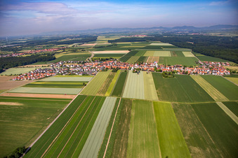Quartier Hayna in Herxheim bei Landau dans le département Rhénanie-Palatinat, Allemagne vue d'en haut