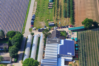 Vue oblique de Marché fermier de Zapf à Kandel dans le département Rhénanie-Palatinat, Allemagne