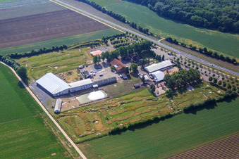 Photographie aérienne de Parc de football et de golf du Palatinat du Sud à Adamshof Kandel à Kandel dans le département Rhénanie-Palatinat, Allemagne
