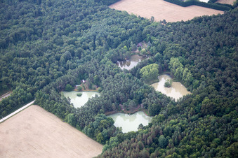 Vue aérienne de Vitry-aux-Loges dans le département Loiret, France