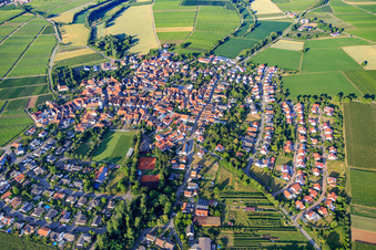 Vue aérienne de Vue d'ensemble du village depuis l'ouest à le quartier Mörzheim in Landau in der Pfalz dans le département Rhénanie-Palatinat, Allemagne