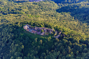 Vue aérienne de Ruines du château de Madenburg à Eschbach dans le département Rhénanie-Palatinat, Allemagne
