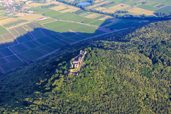 Vue aérienne de Ruines du château de Madenburg à Eschbach dans le département Rhénanie-Palatinat, Allemagne