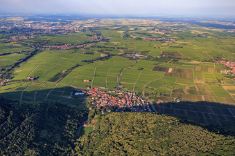 Vue aérienne de Vue d'ensemble du village au bord du Haardt depuis l'ouest à Eschbach dans le département Rhénanie-Palatinat, Allemagne
