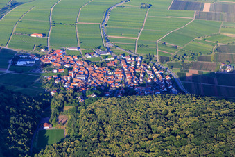 Vue aérienne de Vue d'ensemble du village au bord du Haardt depuis l'ouest à Eschbach dans le département Rhénanie-Palatinat, Allemagne
