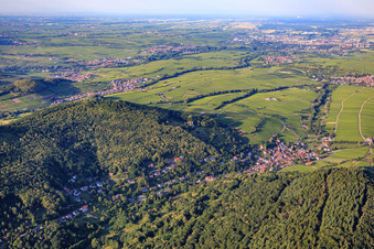 Vue aérienne de Vue d'ensemble du village au bord du Haardt depuis le sud-ouest à Leinsweiler dans le département Rhénanie-Palatinat, Allemagne