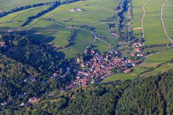 Vue aérienne de Vue d'ensemble du village au bord du Haardt depuis le sud-ouest à Leinsweiler dans le département Rhénanie-Palatinat, Allemagne