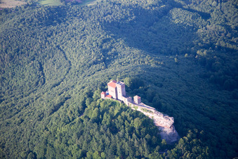 Vue aérienne de Château de Trifels à Annweiler am Trifels dans le département Rhénanie-Palatinat, Allemagne
