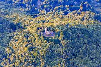 Vue aérienne de Ruines du château de Ramburg à Ramberg dans le département Rhénanie-Palatinat, Allemagne