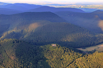 Vue aérienne de Ruines du château de Meistersel (échafaudées) à Ramberg dans le département Rhénanie-Palatinat, Allemagne