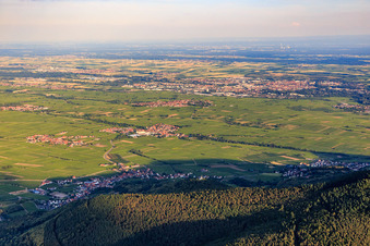 Vue aérienne de Régions viticoles entre Landau et Flemlingen depuis l'ouest à Burrweiler dans le département Rhénanie-Palatinat, Allemagne