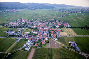 Vue aérienne de Vignobles à Hainfeld dans le département Rhénanie-Palatinat, Allemagne