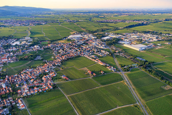 Vue aérienne de Schanzstr à Edenkoben dans le département Rhénanie-Palatinat, Allemagne