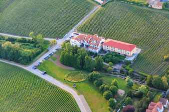 Vue aérienne de Hôtel Das Prinzregent au Triefenbachanlage à Edenkoben dans le département Rhénanie-Palatinat, Allemagne