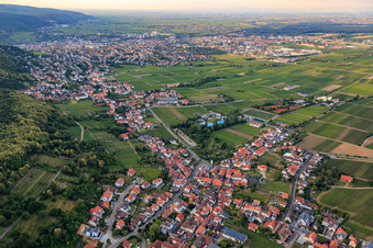 Vue aérienne de Village viticole au bord du Haardt du sud-ouest à le quartier Hambach an der Weinstraße in Neustadt an der Weinstraße dans le département Rhénanie-Palatinat, Allemagne