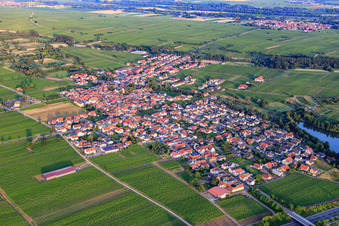 Vue aérienne de Vue de la ville depuis le nord-ouest à Kirrweiler dans le département Rhénanie-Palatinat, Allemagne