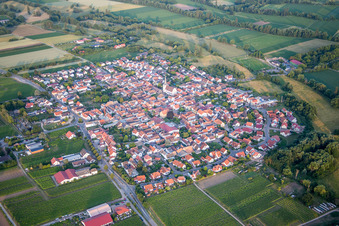 Photographie aérienne de Champs agricoles et terres agricoles à Venningen dans le département Rhénanie-Palatinat, Allemagne
