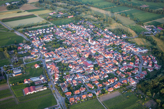 Vue oblique de Champs agricoles et terres agricoles à Venningen dans le département Rhénanie-Palatinat, Allemagne
