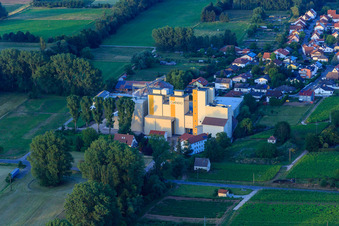 Vue aérienne de Silos du moulin à grains Cornexo GmbH à Freimersheim dans le département Rhénanie-Palatinat, Allemagne