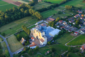 Vue oblique de Silos du moulin à grains Cornexo GmbH à Freimersheim dans le département Rhénanie-Palatinat, Allemagne