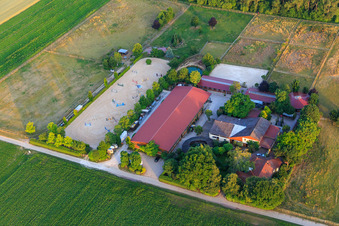 Vue aérienne de Friedrich Roth Vétérinaire à Freimersheim dans le département Rhénanie-Palatinat, Allemagne