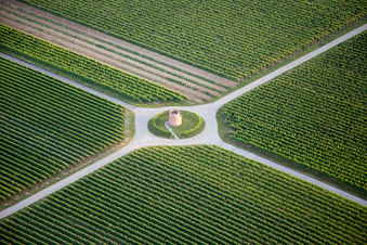 Vue aérienne de Tour du vigneron à le quartier Niederhochstadt in Hochstadt dans le département Rhénanie-Palatinat, Allemagne