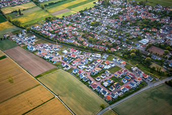 Vue aérienne de Nouvelle zone de développement Am Steinsteg, Trifelsblick à Bornheim dans le département Rhénanie-Palatinat, Allemagne