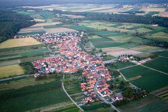 Vue aérienne de Erlenbach bei Kandel dans le département Rhénanie-Palatinat, Allemagne