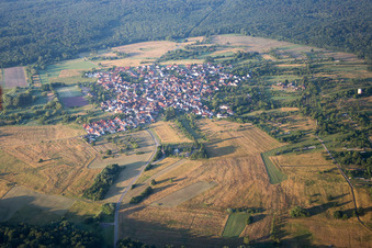 Photographie aérienne de Village - Vue à le quartier Büchelberg in Wörth am Rhein dans le département Rhénanie-Palatinat, Allemagne