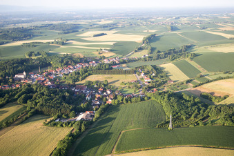 Photographie aérienne de Neewiller-près-Lauterbourg dans le département Bas Rhin, France