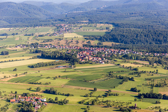 Vue aérienne de Champs agricoles et terres agricoles à Frœschwiller dans le département Bas Rhin, France