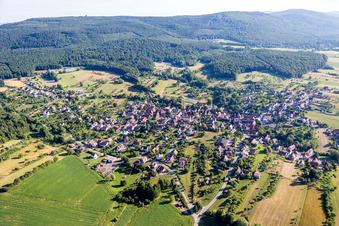 Vue aérienne de Champs agricoles et terres agricoles à Lampertsloch dans le département Bas Rhin, France