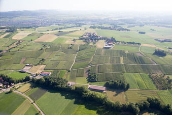 Vue aérienne de Steinseltz dans le département Bas Rhin, France