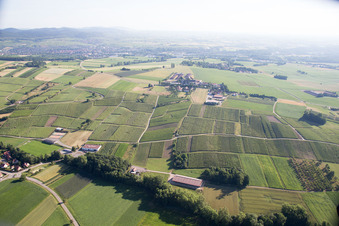 Vue aérienne de Steinseltz dans le département Bas Rhin, France
