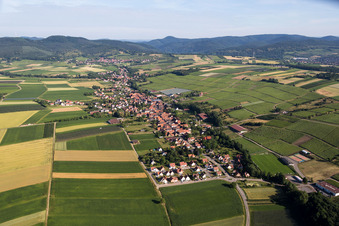 Vue aérienne de Champs agricoles et terres agricoles à Steinseltz dans le département Bas Rhin, France