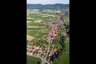 Vue aérienne de Champs agricoles et terres agricoles à Steinseltz dans le département Bas Rhin, France