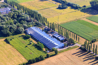 Vue aérienne de Pappelallee avec ConFas GmbH et Strasser Haustechnik à le quartier Schaidt in Wörth am Rhein dans le département Rhénanie-Palatinat, Allemagne