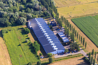 Vue aérienne de Pappelallee avec ConFas GmbH et Strasser Haustechnik à le quartier Schaidt in Wörth am Rhein dans le département Rhénanie-Palatinat, Allemagne