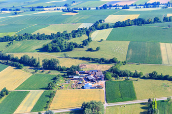 Vue aérienne de Holzwerk ORTH Gerd Sütterlin eK à le quartier Schaidt in Wörth am Rhein dans le département Rhénanie-Palatinat, Allemagne