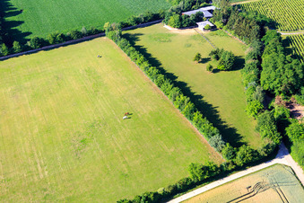 Paddock de Trakehner-Friedrich à Minfeld dans le département Rhénanie-Palatinat, Allemagne vu d'un drone