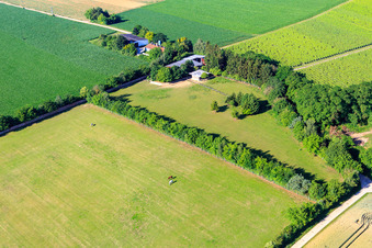 Photographie aérienne de Paddock de Trakehner-Friedrich à Minfeld dans le département Rhénanie-Palatinat, Allemagne