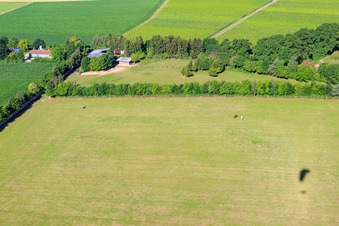 Paddock de Trakehner-Friedrich à Minfeld dans le département Rhénanie-Palatinat, Allemagne depuis l'avion