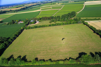 Paddock de Trakehner-Friedrich à Minfeld dans le département Rhénanie-Palatinat, Allemagne vue du ciel
