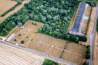 Vue aérienne de Cimetière militaire de l'Aviation royale canadienne de l'ARC à Choloy-Menillot à Écrouves dans le département Meurthe et Moselle, France