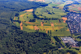 Vue aérienne de Traces de dégâts causés par la sécheresse dans les champs de Bienwald à Hagenbach dans le département Rhénanie-Palatinat, Allemagne